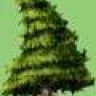 pinetreebbs