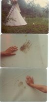 tipi and paws.jpg