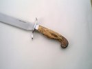 spearpointbowie1.jpg