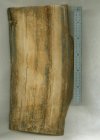 mammoth.jpg