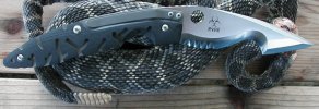 m1rattler.jpg
