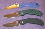 16099-delicaocelot.jpg