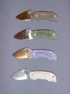spydercosalsa-small.jpg