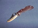 spydercojester-small.jpg