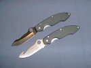 spydercoimpala-small.jpg