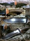 antler bowie cropped8.jpg