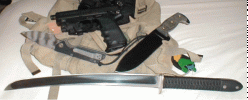 strider forum.gif