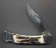 buck110-smallest.jpg