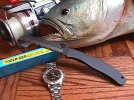 blak mariner-fish.JPG