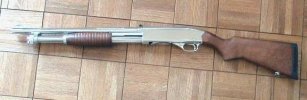 SHOTGUN.jpg