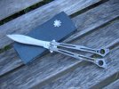 Spyderfly1.jpg