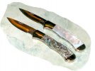 DSCN4383.JPG