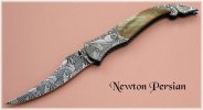 newtonpersianv800.jpg