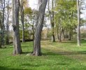 driveway.JPG