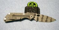 sng2.jpg