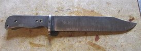 hogbowie2.jpg