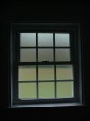 P1040932_window.jpg