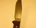 IMG_0188.jpeg