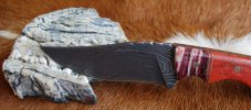 DSC_0118.jpg