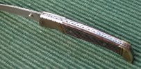 springforthill11 007.jpg