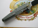 WE Knife 610 E 3.75 Tanto S35VN Green 007.JPG