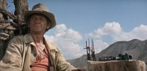 CowboyBronson.jpg