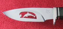 192Dolphin03_zps98f44a96.jpg