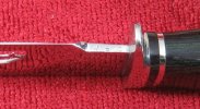 192Dolphin04_zps838d45e7.jpg