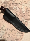 Rehrer1.png
