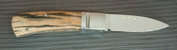 0406-bark-slippy-2.jpg