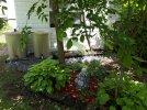 yard201901.jpg