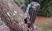 Inkosi_NumberedCF-Tree21.jpg
