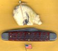 Bigg Cattle 3.jpg