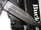 buck 005.jpg