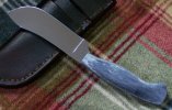 skinner12.jpg
