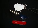 DSC01269.jpg