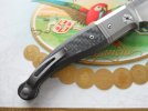 Lion Steel Gitano Gudy Van Popel 006.JPG