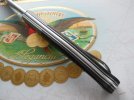 Lion Steel Gitano Gudy Van Popel 007.JPG