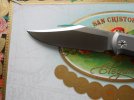 Lion Steel Gitano Gudy Van Popel 002.JPG