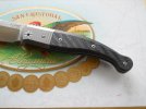 Lion Steel Gitano Gudy Van Popel 003.JPG