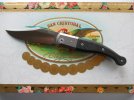 Lion Steel Gitano Gudy Van Popel 001.JPG