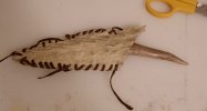 DSC_2413.jpg