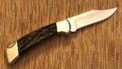 112 sheep horn 1.jpg