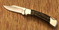 112 sheep horn.jpg
