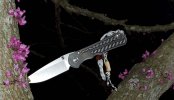 Inkosi_NumberedCF-Tree22.jpg