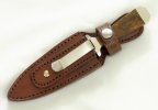 20207 in sheath.jpg