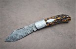 stag & Norris slipjoint 006.JPG stag & Norris slipjoint 006.JPG
