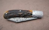 stag & Norris slipjoint 016.JPG stag & Norris slipjoint 016.JPG
