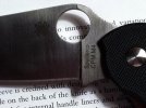 Spydie 2.jpg
