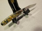 tadcalbuckeyeburl.jpg